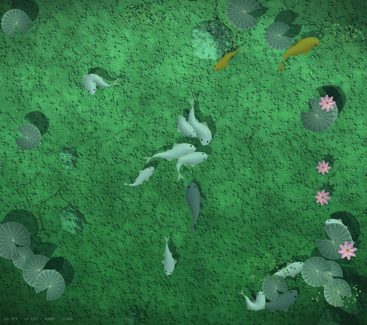 A koi pond seen from above: pale and orange koi swim over a green bed among lily pads and lotus flowers